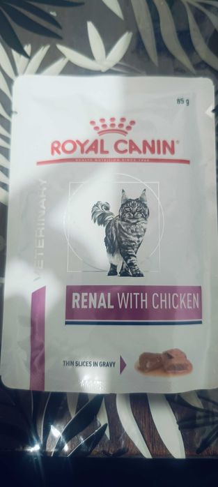 Корм влажный Ренал Пурина