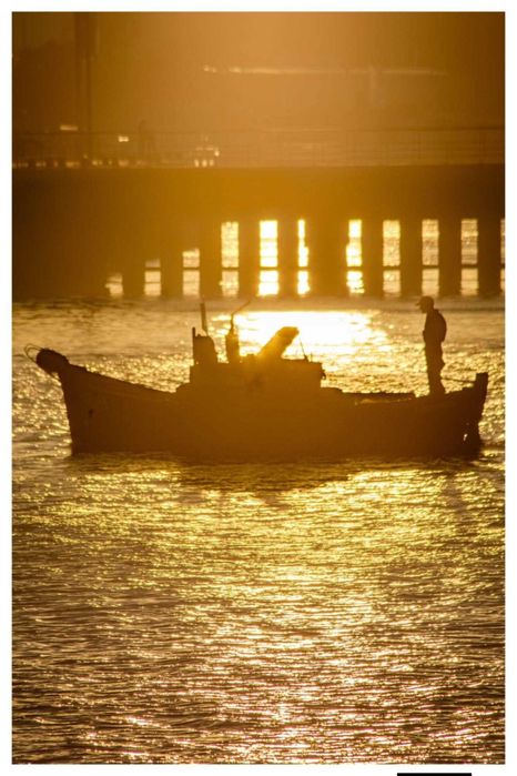 Barco pesca local