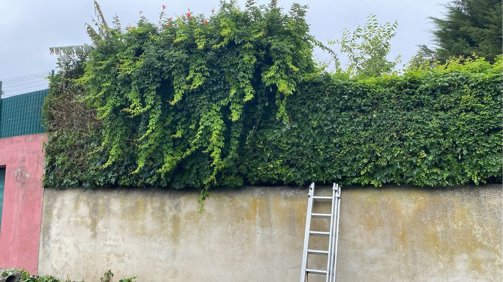 Serviços de Jardinagem