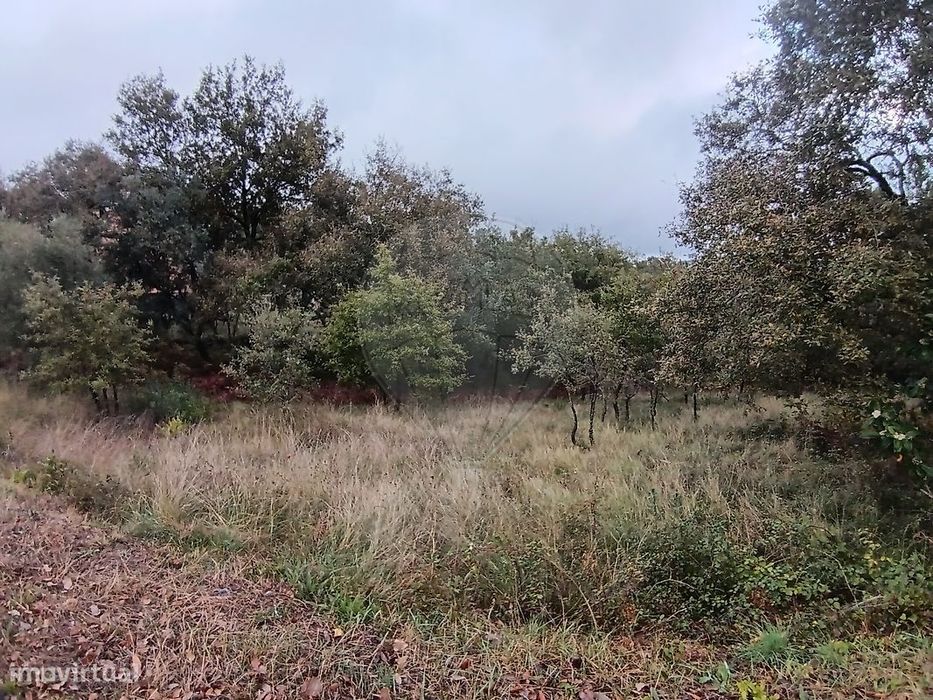 Terreno  para venda — Abiul, Leiria