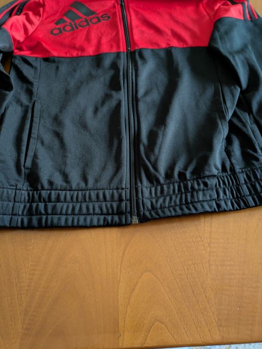 Adidas Training Jacket497470878044006402