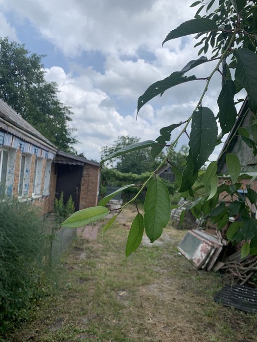 Будинок с Стави