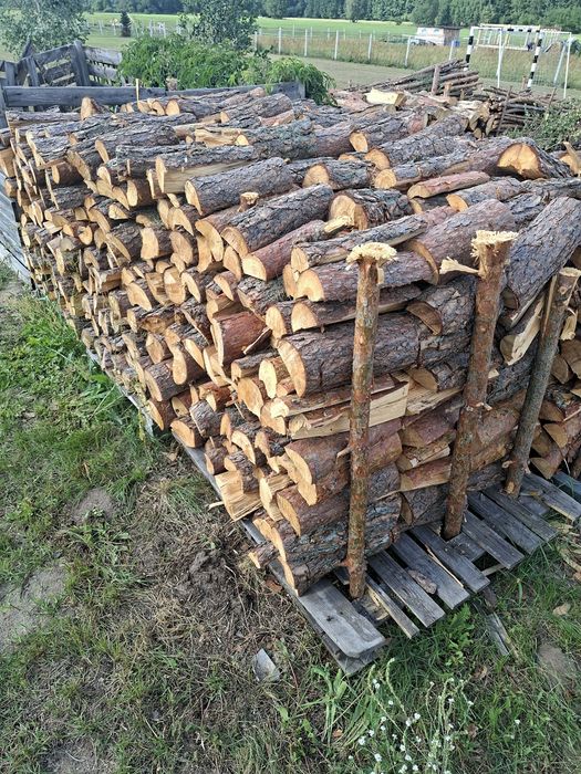 Drewno opałowe sosnowe