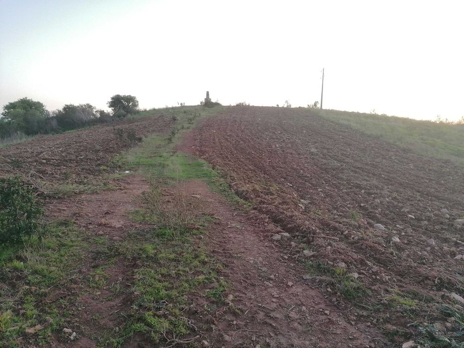 Terreno 12ha misto com possibilidade de turismo rural Bensafrim
