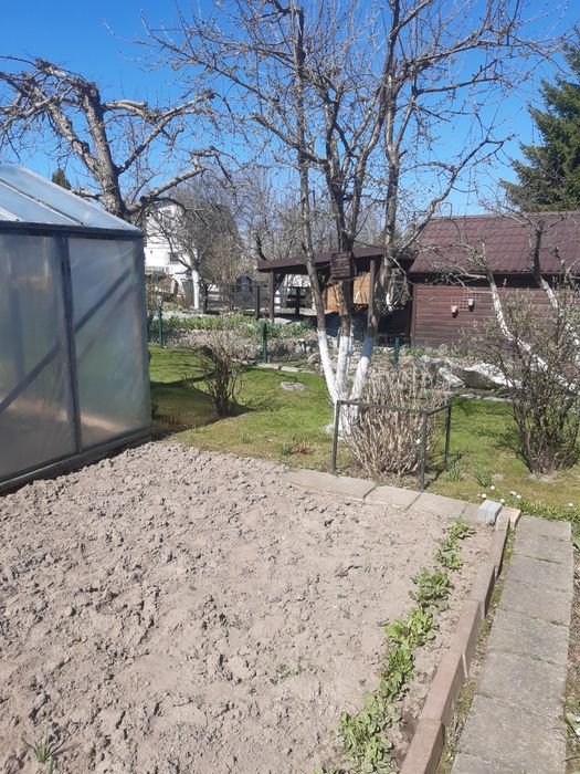 Działka ROD Suwałki Borówka