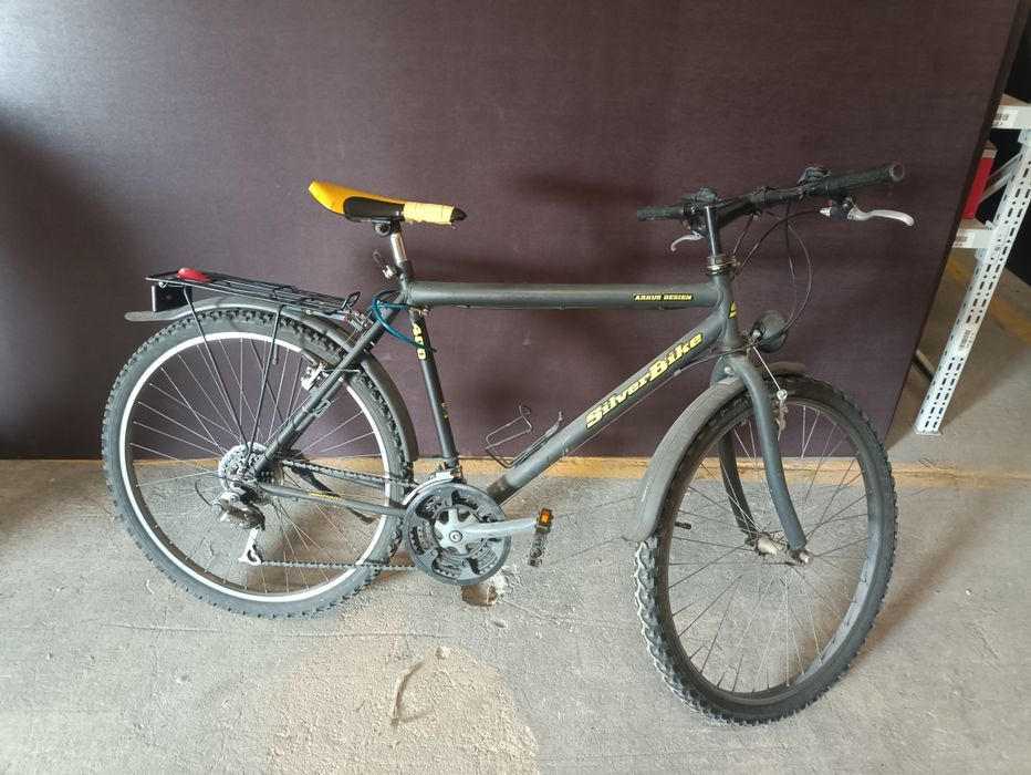 Rower silverbike