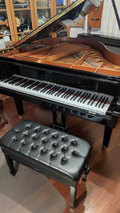 Piano de Cauda Silent