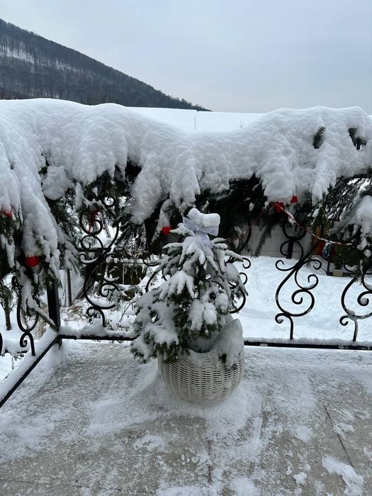 Оренда житла будинок