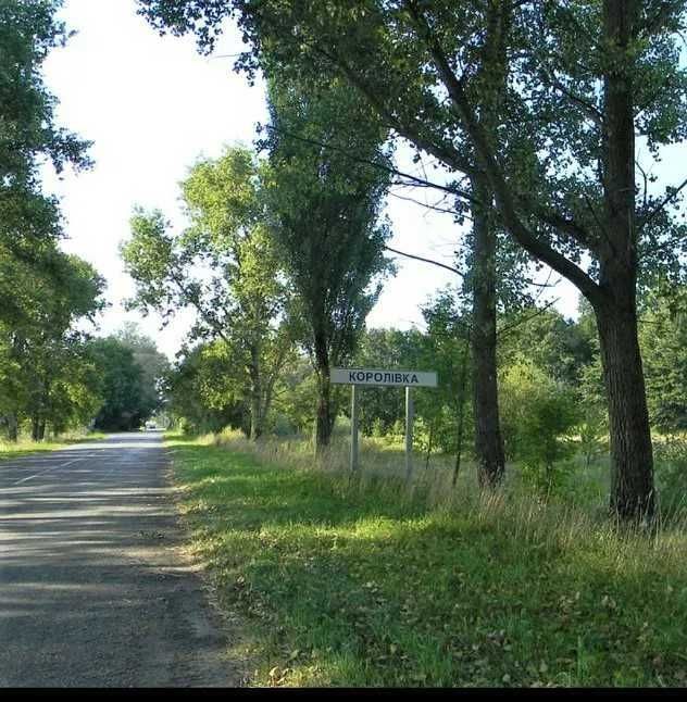 Мега продаж земельної ділянки 6,7 га с. Королівка, Макарівський район