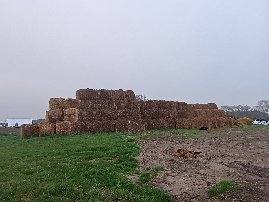 Słoma bele zeszłoroczne 110/90