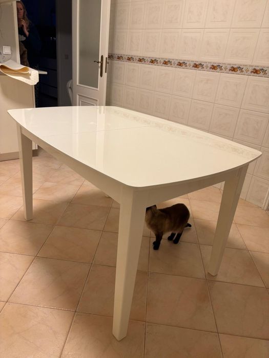 Mesas de jantar branca com 6 cadeiras