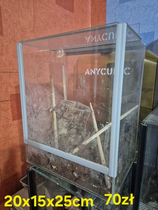 Terraria rozne wymiary.