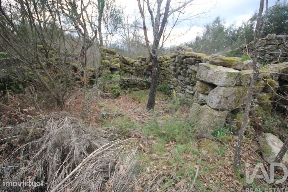 Casa rústica em Cambra e Carvalhal de Vermilhas de 3971 m2