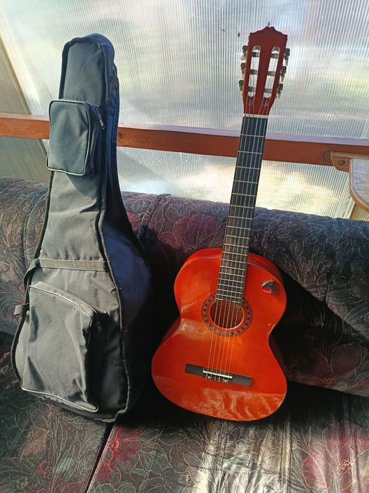 Gitara klasyczna Salxador