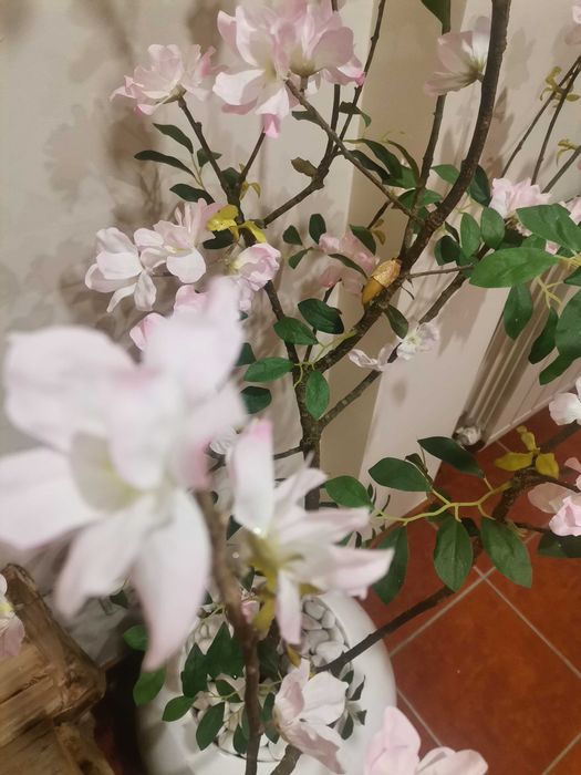 Decoração Interior