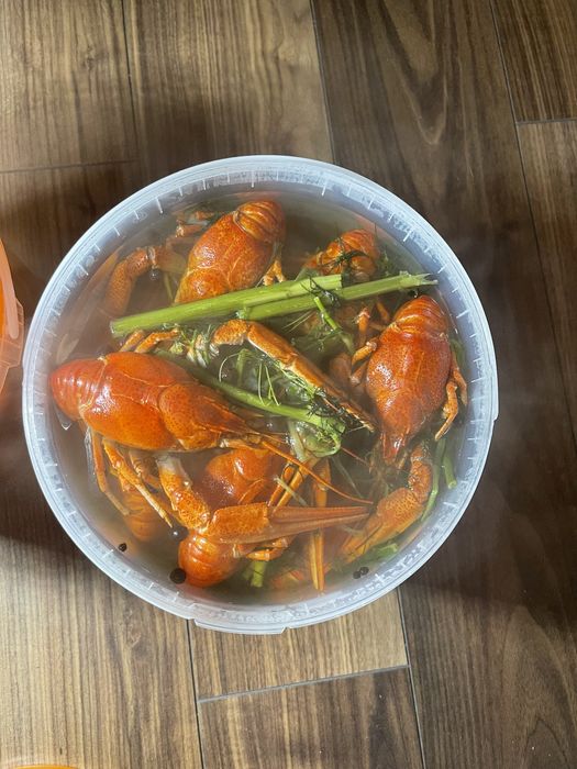 Раки Запорожье. Живые раки.