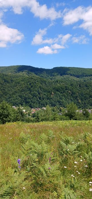 Земля під туристичний комплекс + проектна пропозиція
КОМПЛЕКСУ «ШЕШОР