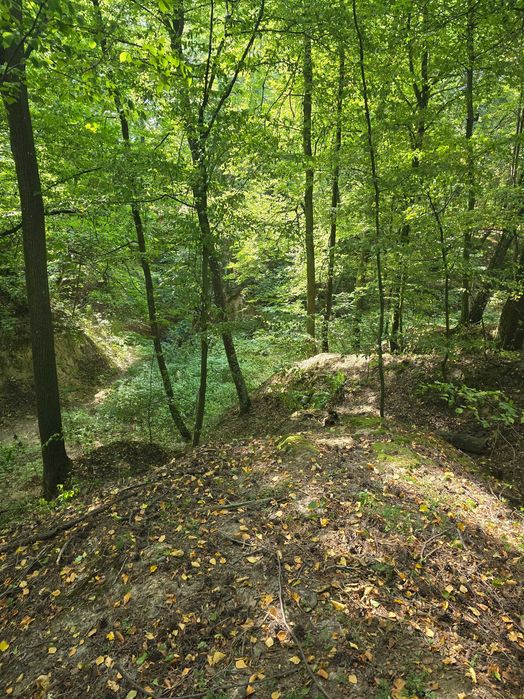 Działka zagrodowa - rolna z lasem 13km od Kazimierza Dolnego - Więcej
