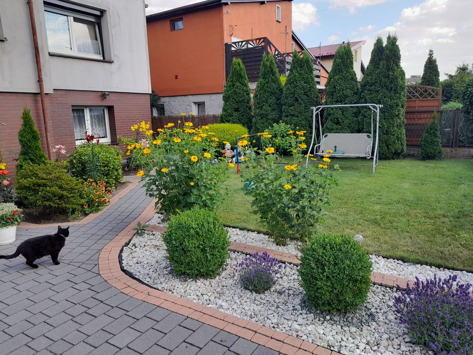 Wynajmę mieszkanie