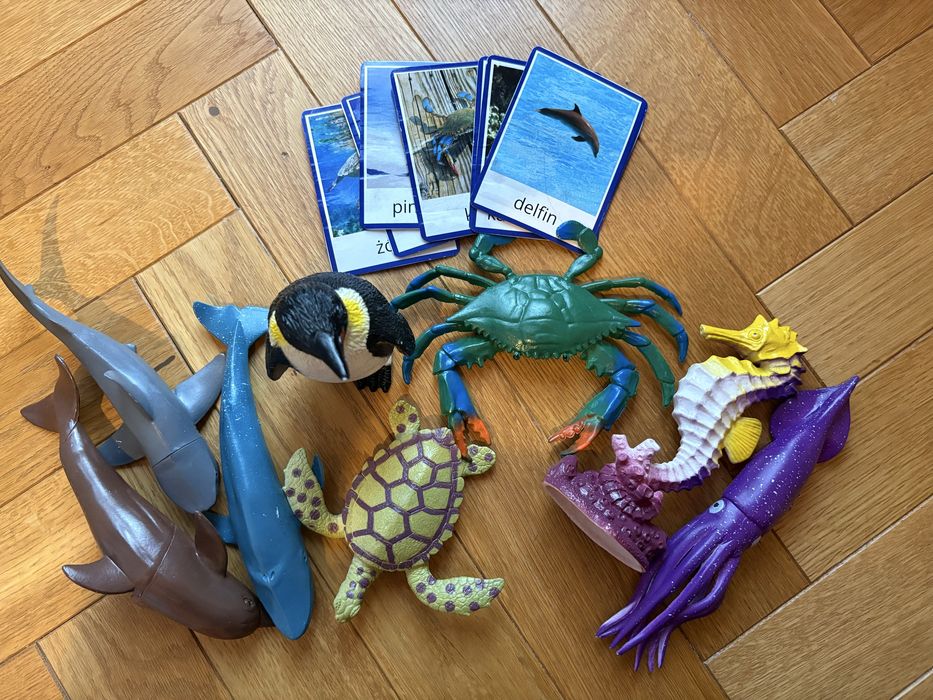 Karty montessori i duże figurki zwierząt wodnych Olipoli