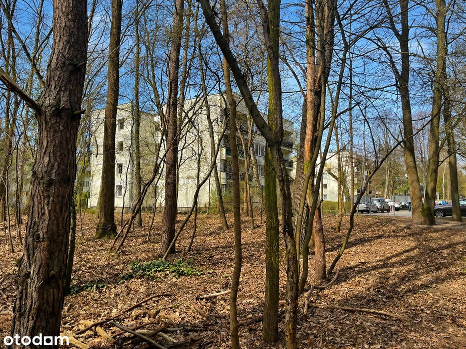 Działka Anin | 2032 m² | przy lesie | działka objęta MPZP