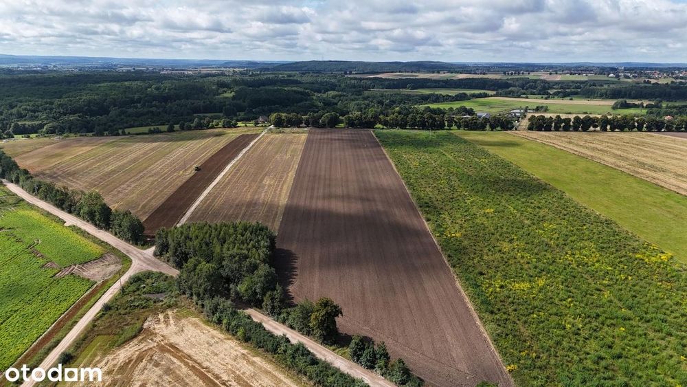 Działka nr 106/3 Wilkowo Nowowiejskie 1,3936 ha - Widok 2