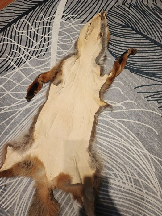 Futro skóra z lisa garbowana