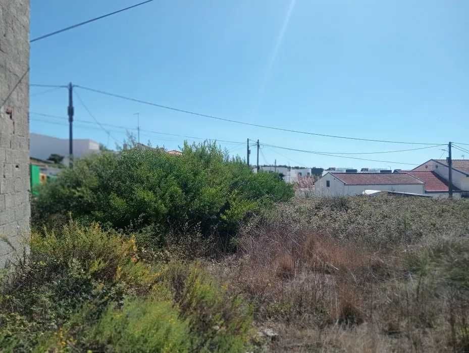 Limpeza de Terrenos e Corte de Mato com Roçadora – Óbidos e Região