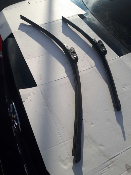 Bochn     .              .