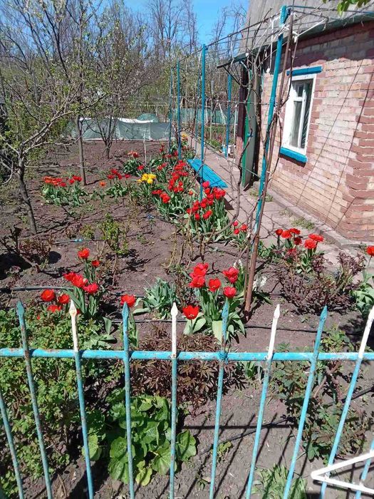 Продається дача Центр-Міський район біля Макулану