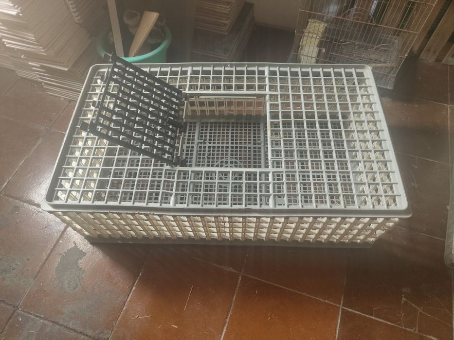 Gaiolas para animais