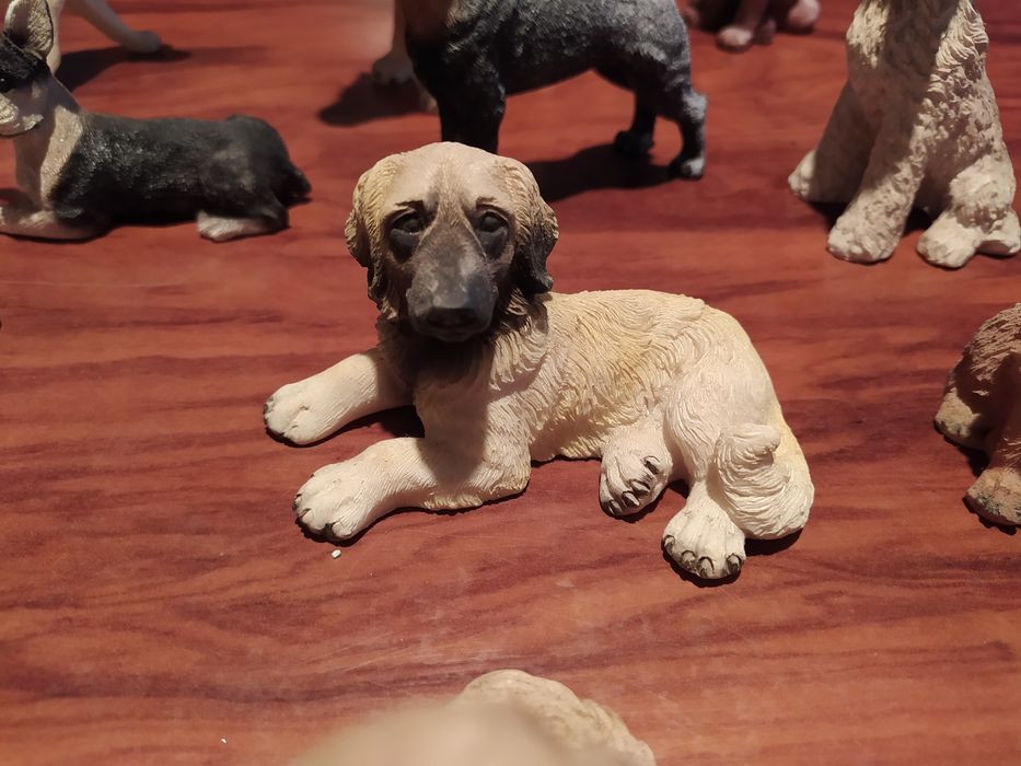 43 miniaturas de cães