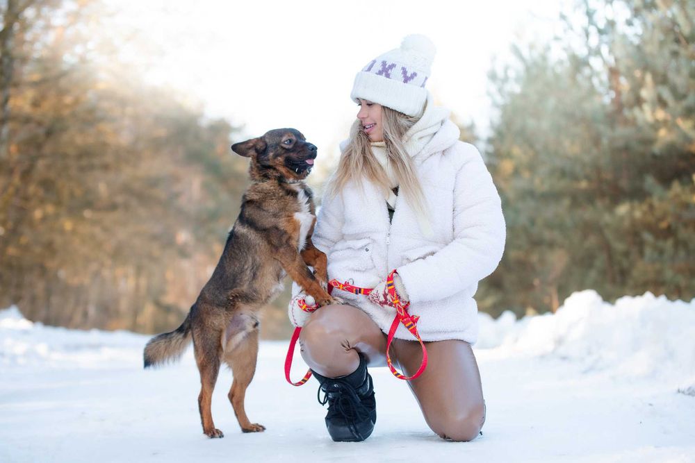BENIO - mały wesoły psiak poleca się do pokochania
