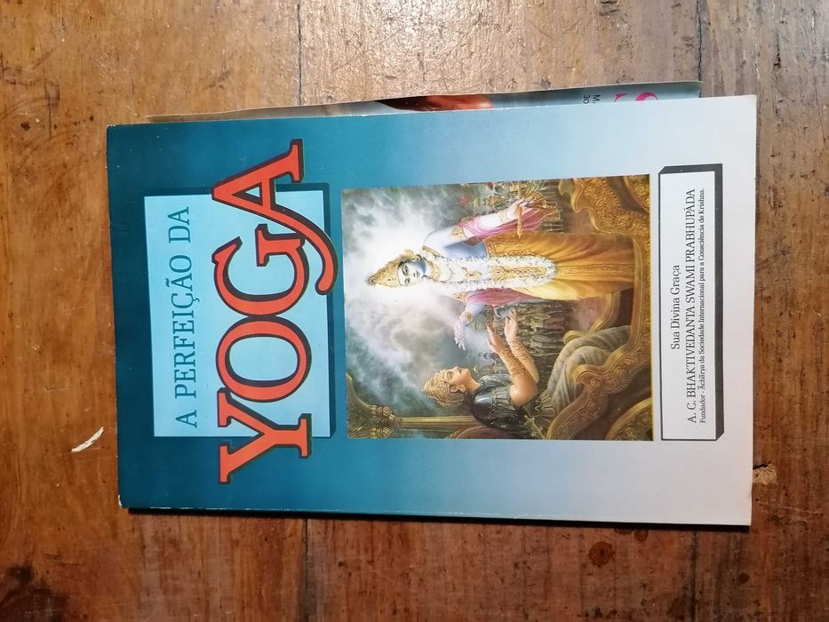Livros vários _ Aventura / Policial / Romance /Temáticos