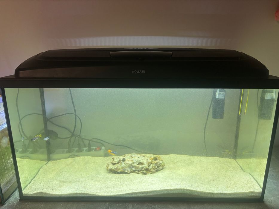 akwarium aquel 112 l z rybkami