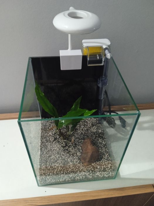 Aquário 20x20x25 novo "kit promocional""