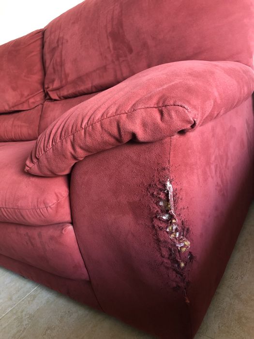 Sofá Divani 2 lugares