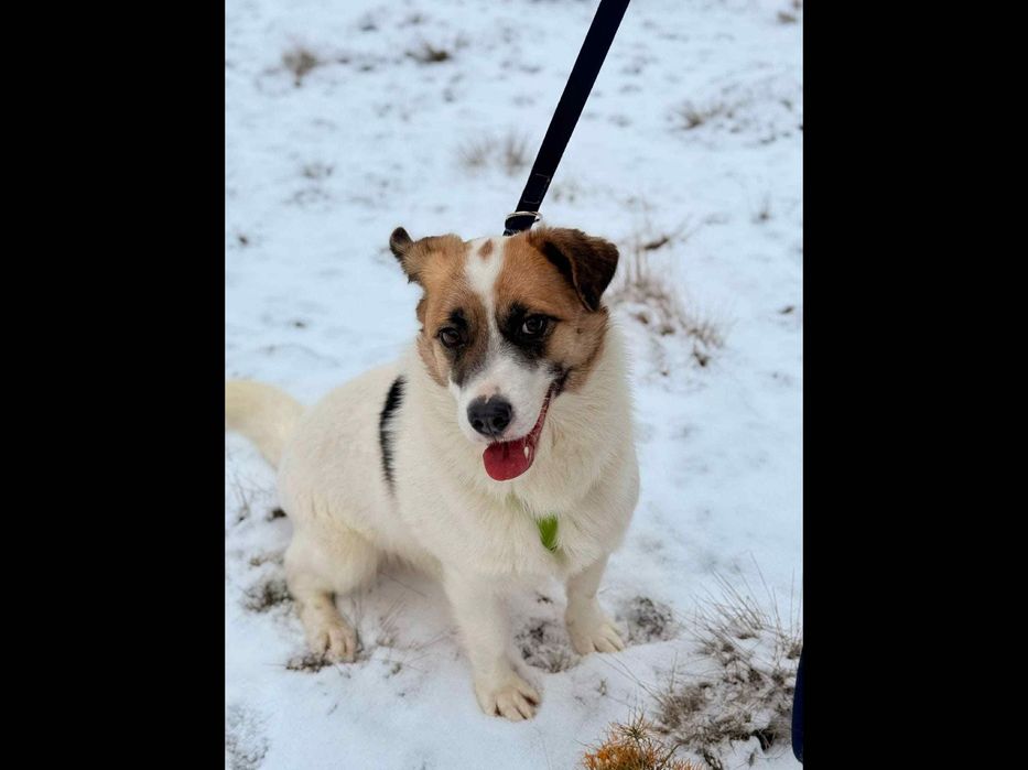 Młodziutki,malutki ,cudowny,tak długo czeka.