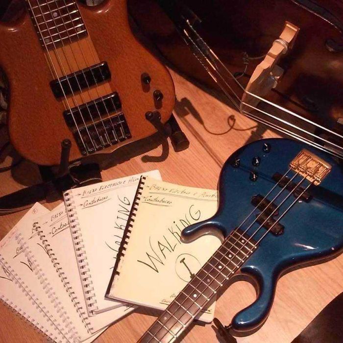 Bom dia estou a vender o meu Bass Pedulla 3500€, negociáveis