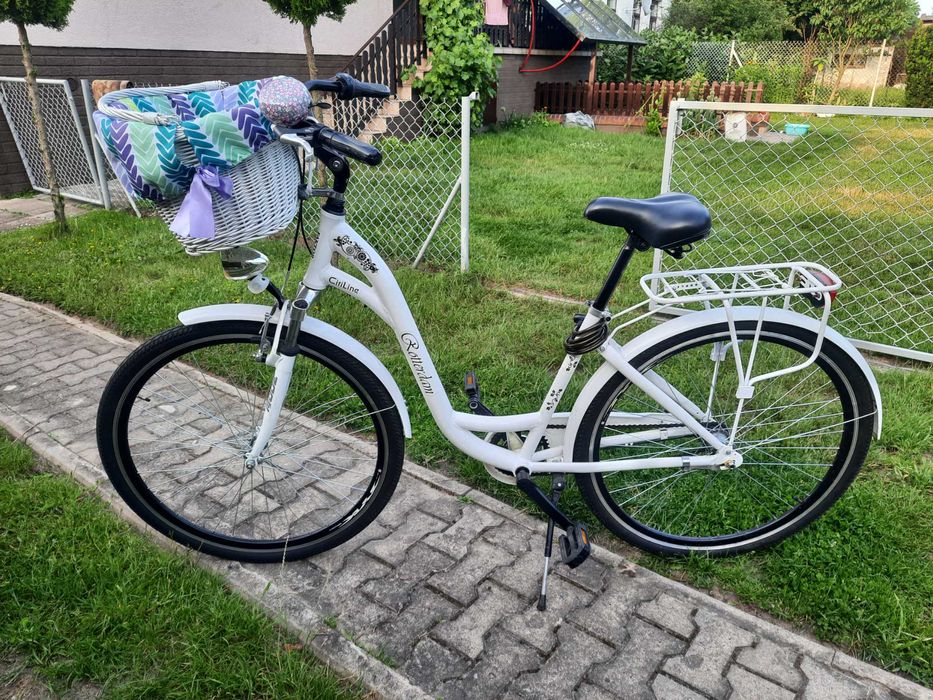 Rower z koszykiem rotterdam