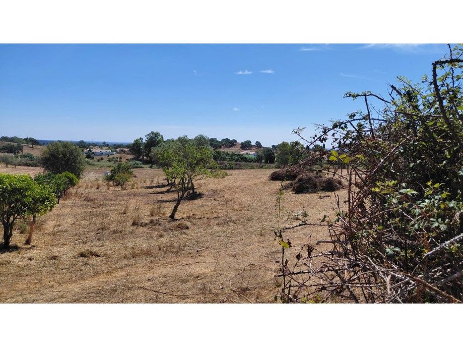 Monte Alentejano para recuperar.