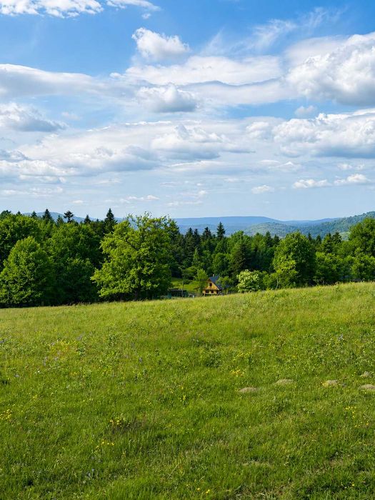 Działka rolno-budowlana 5000 m² nad Soliną - Widok 2