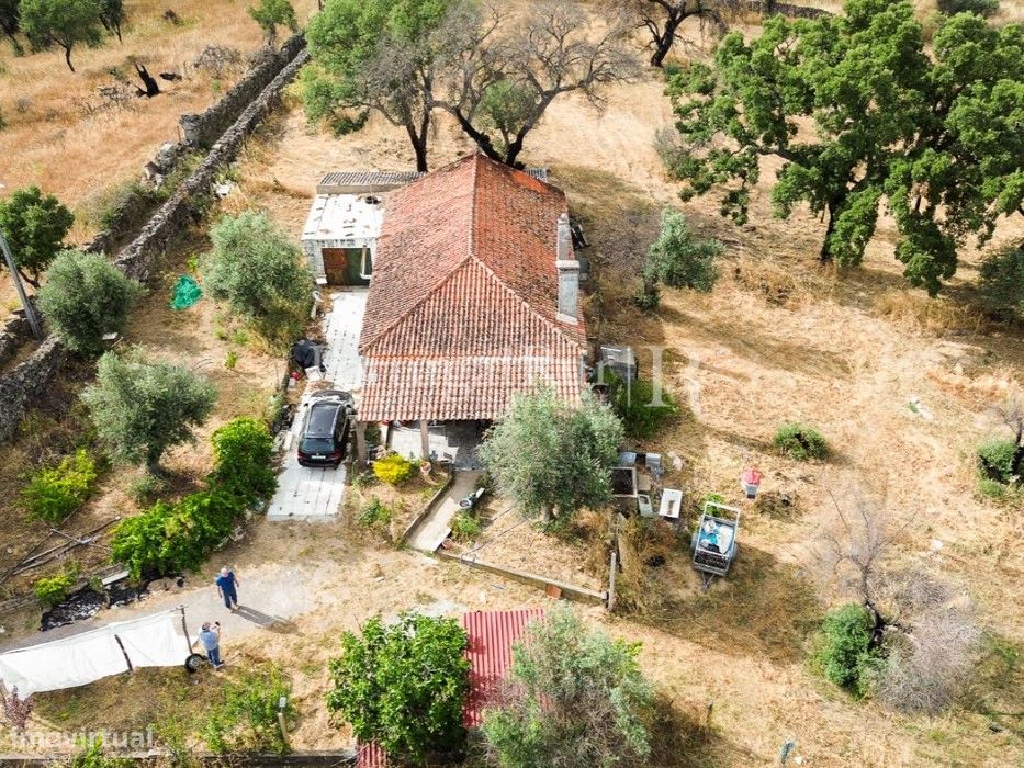 Quintinha de 1.8 hectares em Medelim