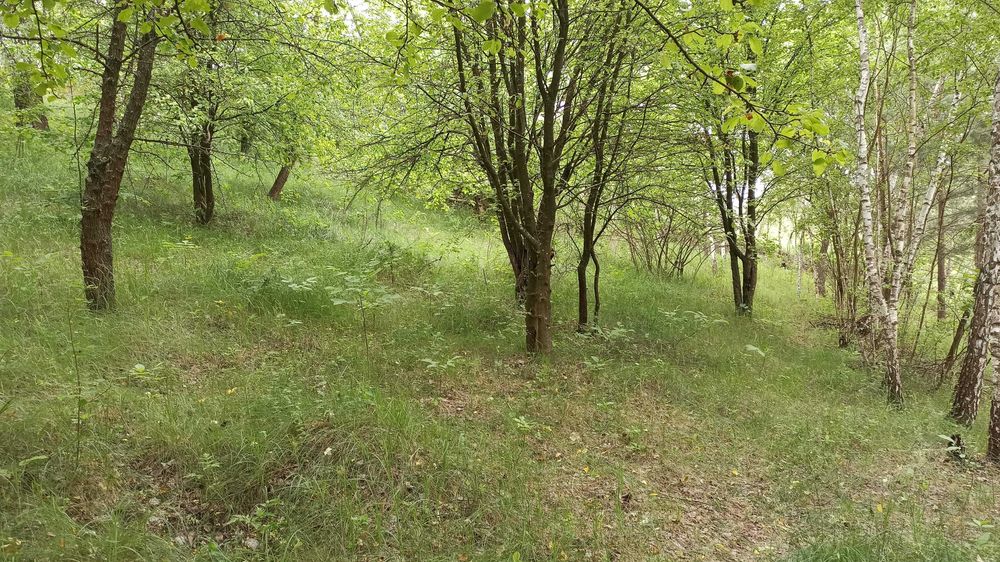 Ділянка в с.Гвоздів