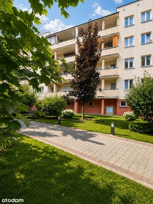 Dobrzec /2pokoje /rozkładowe/do wprowadzenia
