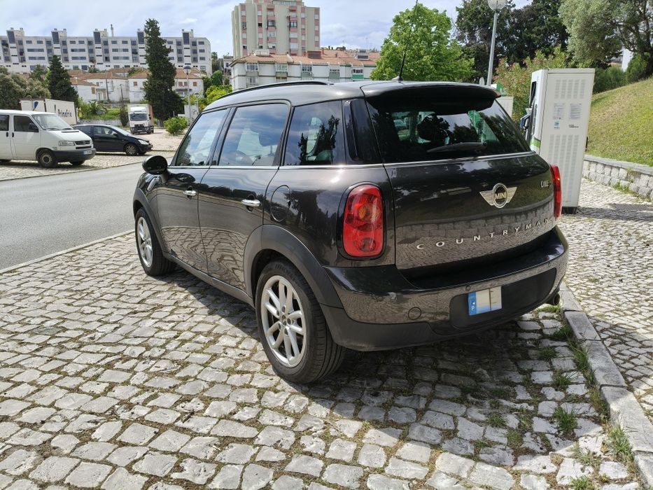 Countryman One D