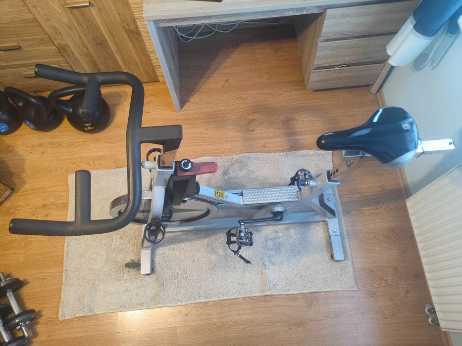 Rower treningowy Schwinn