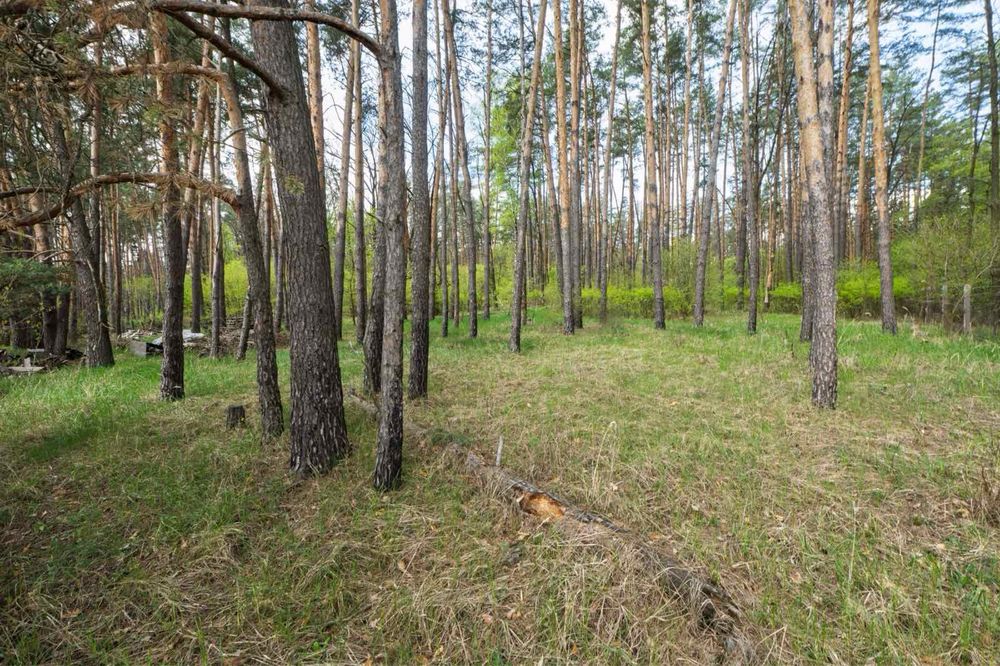 Цікавий, харизматичний будинок Стоянка закрита территорія з виходом в ліс.