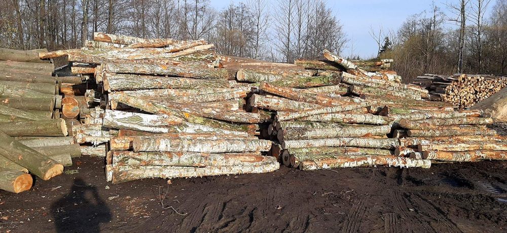 Drewno opoałowe kominkowe bukowe dębowe