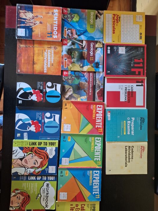 Manuais e cadernos de atividades escolares 11⁰ ano